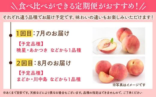 ◆2026年夏発送◆＜家庭用 食べ比べ定期便 約1.5kg×2回＞ ※離島への配送不可 ※2026年7月上旬～8月下旬頃に順次発送予定 ｜ 先行予約 予約 数量限定 桃 もも モモ 果物 くだもの フルーツ 詰め合わせ 福島 ふくしま