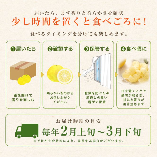 先行予約 文旦 家庭用 約10kg 土佐文旦 L～4L 混合サイズ 高知 ブンタン ぶんたん 旬 柑橘 かんきつ 柑橘類 フルーツ 果物 くだもの デザート おやつ 爽やか 甘い スイーツ 美味しい おいしい 常温