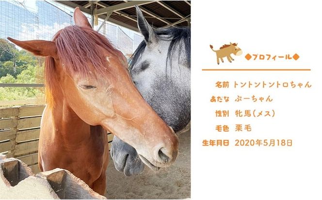張子の馬 トントントントロ 競走馬バージョン 馬 うま 置物 インテリア 張子 張り子 干支 手造り オリジナル [№5735-3257]