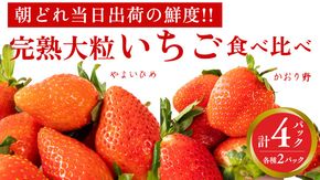 完熟 かおり野 ・ やよいひめ 食べ比べ 4パック 先行予約 大粒 イチゴ 苺 いちご フルーツ 果物 [AF089ci]