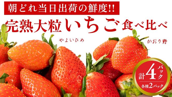 y錧}szn  E 悢Ђ Hה 4pbN s\ 嗱 C`S   t[c ʕ [AF089ci]
