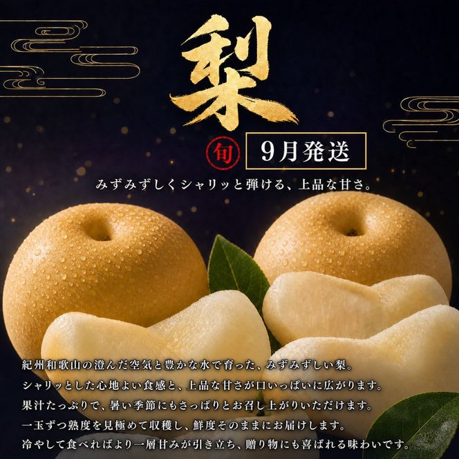 【8・9・12月 全3回】紀州産 巨峰とフルーツ定期便A（巨峰・梨・みかん） 【魚鶴】AN039
