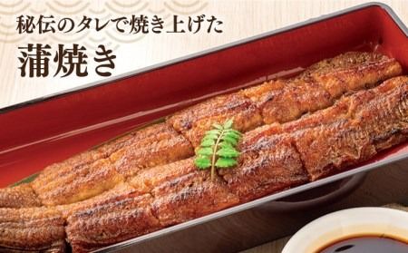 【年内発送】うなぎ かば焼き 北ノ屋 (梅) 鰻 蒲焼き 2尾セット 糸島市 / 北ノ屋うなぎ [ACL003] うなぎ 鰻 ウナギ 蒲焼き 白焼き 国産 蒲焼 タレ 詰め合わせ 贈答