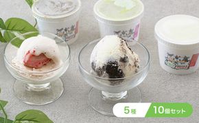 オリジナルジェラートアイス10個セット（5種） お菓子 カップ 