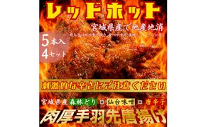 レッドホット特製手羽先唐揚げ【たけてば】瞬間急速冷凍仕上げ(5本入×4セット）【 惣菜 冷凍 冷凍から揚げ つまみ お酒のあて おかず お弁当 レンジ調理 温めるだけ 簡単調理 時短 ギフト お歳暮 贈答品 】 041009_EE002