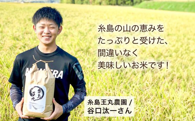 【令和7年産】糸島産 夢つくし 5kg 糸島市 / 糸島王丸農園 ( 谷口汰一 )【いとしまごころ】[AAZ001]