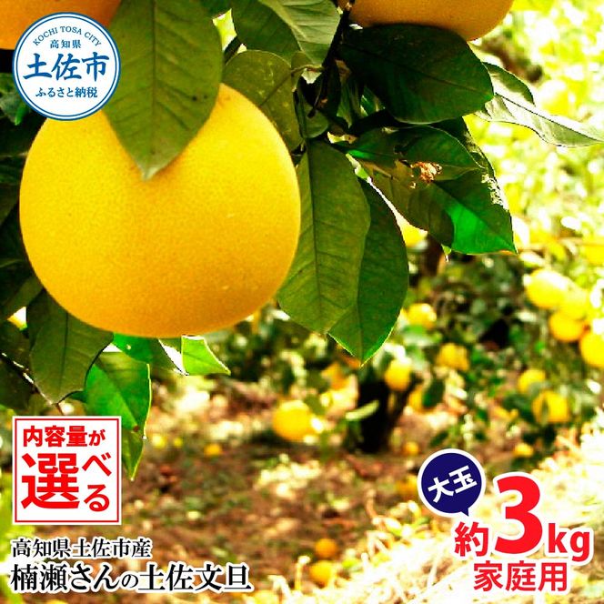 楠瀬さんの土佐文旦 家庭用大玉 約3kg 約3キロ 4L～2L ぶんたん ブンタン フルーツ 柑橘 みかん 果物 くだもの 柑橘類 デザート おやつ さっぱり おいしい 甘い お取り寄せ 国産