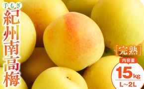 手もぎ 完熟南高梅 15kg L～2Lサイズ 谷本農園 CX069