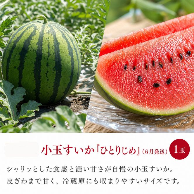 ［全3回 定期便］紀州和歌山産旬のフルーツセット（セミノール・スイカ・桃）［UT151］ 303446_XF91194