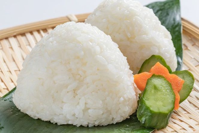 CA053 特別栽培米ながさきにこまる・押麦セット[ 白米 精米 ごはん ご飯 こめ おこめ もちもち おにぎり 粘り おいしい 長崎県産 長崎県産米 長崎にこまる 長崎県 島原市 ]