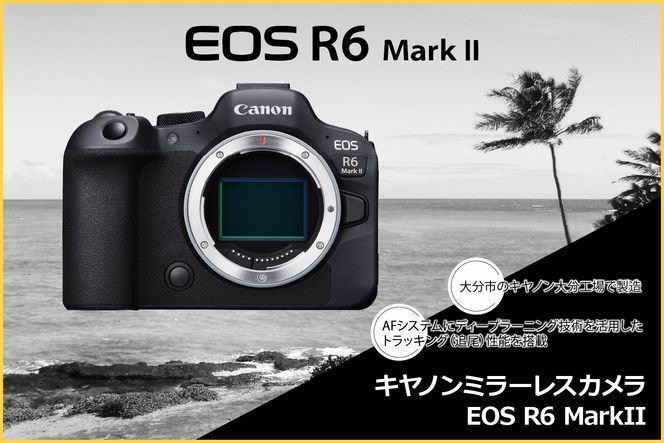 【R14150】キヤノンミラーレスカメラ EOS R6 Mark Ⅱ