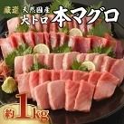 【数量限定】 厳選 天然 本マグロ 大トロ 1kg以上 国産 マグロ 鮮魚 魚 刺身 刺し身 漬け丼 海鮮丼 おかず 魚介類 海鮮 海産物 まぐろ 本まぐろ 鮪 ブロック  惣菜 冷凍 美阿丸 高知県 室戸市