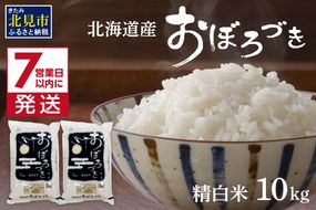 《7営業日以内に発送》令和7年産 おぼろづき 10kg 北海道産 精白米 ( こめ 精米 お米 10キロ HACCP )【080-0093】