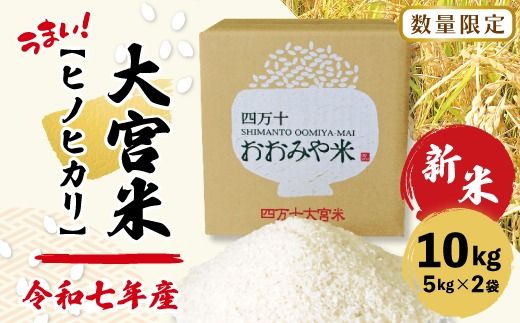 yml\szyߘa7NY V t ʌz l\  Ăǂ RԒnňĂ { qmqJ 10kg m m ܂ Y     Ђ̂Ђ _͔|  Yn y2025N10{菇zz25-789