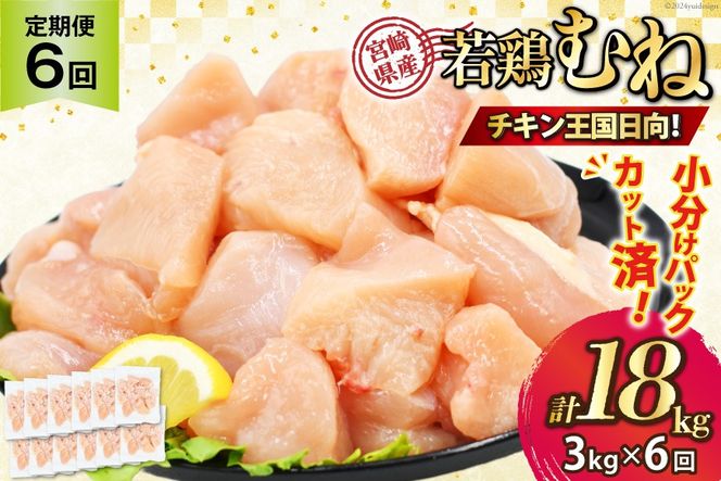 鶏肉 6回 定期便 むね 宮崎県産 若鶏 ムネ肉 250g ×12袋 計 3kg×6回 [九州児湯フーズ宮崎支店 宮崎県 日向市 452061554] 小分け 冷凍 むね肉 国産