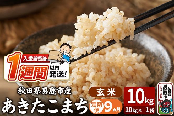 令和8年産新米《定期便9ヶ月》あきたこまち 玄米 10kg（10kg×1袋） 吉運商店 秋田県 男鹿市 お米 お弁当 おにぎり [新米 米 こめ コメ 玄米 あきたこまち 秋田県 男鹿市 10kg]|23_ysu-221009b
