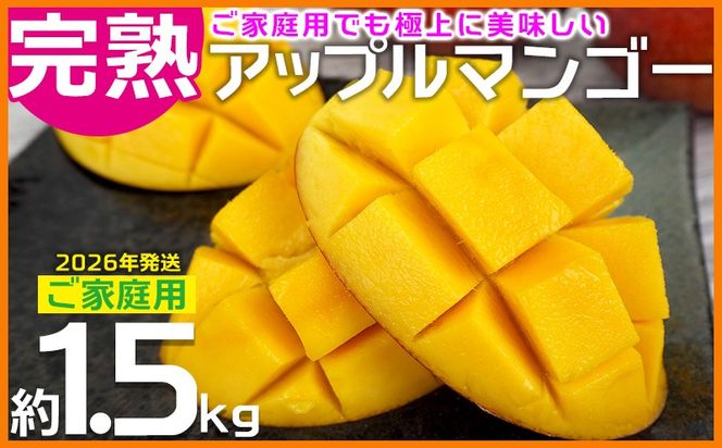 【2026年発送】ご家庭用でも極上に美味しい完熟アップルマンゴー約1.5kg 農園直送！ 家庭用 先行予約 沖縄 甘味 糖度 濃厚 美味しい お土産 おいしい ふるさと納税 とろける甘さ 香り アーウィン 果汁 送料無料 箱入り トロピカル 普段使い 自分用 ご褒美