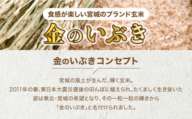 玄米 パックご飯 宮城県産「 金のいぶき 」発芽玄米 パック ごはん ( 150g × 12個 ×3箱　計36個)  金のおいしさ! ＜ 宮城のブランド玄米 ＞[ JA加美よつば農業協同組合 宮城県 加美町　yo-pg-kin-36s] レトルト ごはん ご飯 レトルトごはん レンジ レンチン かんたん パックライス ライス 米 簡単 お手軽 備蓄 非常食 防災グッズ