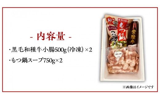 茨城県産 黒毛和牛 もつ鍋 セット（ 8人前 ） モツ 和牛 牛肉 おいしい 美味しい コラーゲン おつまみ ビールのお供 お酒のあて 酒の肴 おかず 惣菜 時短 グルメ お取り寄せ 詰め合わせ 国産 茨城 ( 茨城県共通返礼品 ) [BS003us]