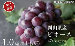 厳選 ニューピオーネ 2房 合計1.0kg以上 産地直送 朝採れ ぶどう 葡萄 Kawahara Green Farm 岡山県産 2026年 果物 フルーツ 甘味 酸味 さっぱり 大粒 種なし 人気 甘い 