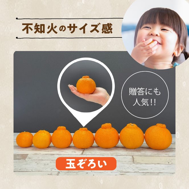 MK1010_不知火 (しらぬい) 秀品 玉ぞろい 箱込 10kg (内容量約9.2kg) 