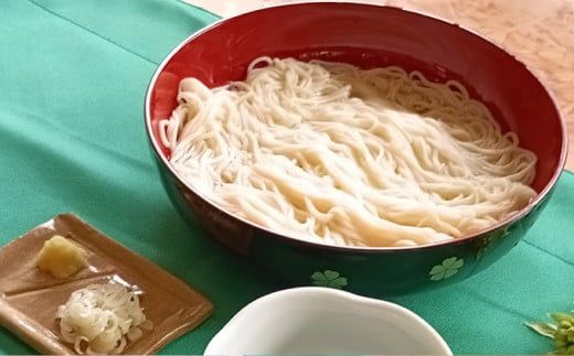 生そうめん 100g×5人前×2セット | そうめん 10人前 10食 セット 麺 麺類 辛汁 冷凍 茨城県 守谷市