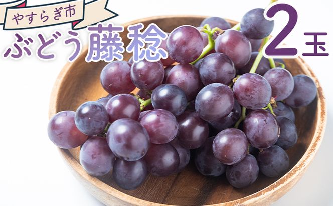 ぶどう 藤稔 ２P 国産 果物 くだもの 青果 フルーツ 葡萄 ブドウ グレープ ジューシー デザート やすらぎ市 高知県 香南市 冷蔵 yr-0098
