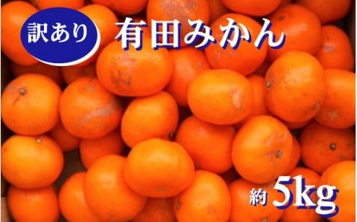 紀州 有田みかん 5kg 訳あり キズ 家庭用 サイズ混合　※2026年11月下旬～2027年1月中旬頃順次発送予定 ※北海道・沖縄・離島への配送不可【sml004-c-5A】