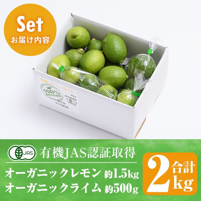 数量限定！有機JAS オーガニックレモン・ライム食べ比べセット(合計約2kg) 国産 レモン 檸檬 ライム 果実 果物 フルーツ 柑橘 デザート 期間限定 有機栽培 健康志向【中村農場】akn084-04