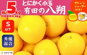 八朔 (はっさく) とにかく 小玉 箱込 5kg(内容量約 4.4kg) 秀品 優品 混合 Sサイズ以下 和歌山県産  産地直送［おまけ付き］［みかんの会］ 	AX238