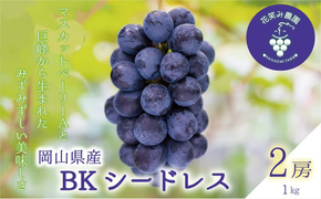 【2026年先行予約】ぶどう 岡山 花笑み農園の『BKシードレス』1kg（2～3房） 1kg 贈答用 濃厚 ぶどう 2026年9月中旬～ 受付順に発送予定 【hana027-03】