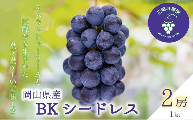 【2026年先行予約】ぶどう 岡山 花笑み農園の『BKシードレス』1kg（2～3房） 1kg 贈答用 濃厚 ぶどう 2026年9月中旬～ 受付順に発送予定 【hana027-03】