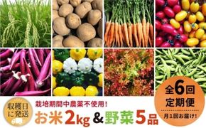 【全6回定期便】【☆畑直送☆栽培期間中農薬不使用！】お 米 2kg & 野菜 5品 の セット 糸島市 / オーガニックナガミツファーム 	[AGE037]