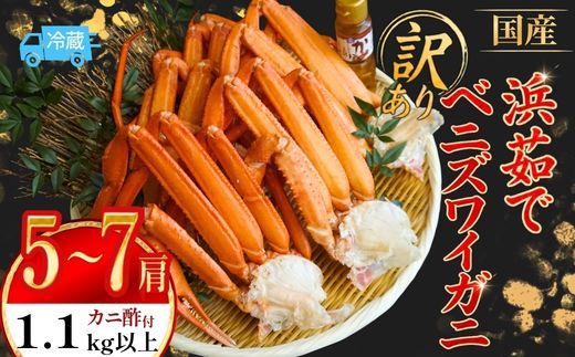 【訳あり 浜茹で 国産ベニズワイガニ 肩 1.1kg以上（5～7肩） カニ酢付き 冷蔵】 国産 ベニズワイガニ ベニ べに 紅 ズワイガニ ずわいがに 訳あり わけあり ワケアリ 茹で ゆで ボイル かにすき カニスキ 焼きがに 焼きガニ かに鍋 カニ鍋 鍋 大人気 人気 おすすめ ふるさと納税 返礼品 兵庫県 香美町 香住 丸近 19-16