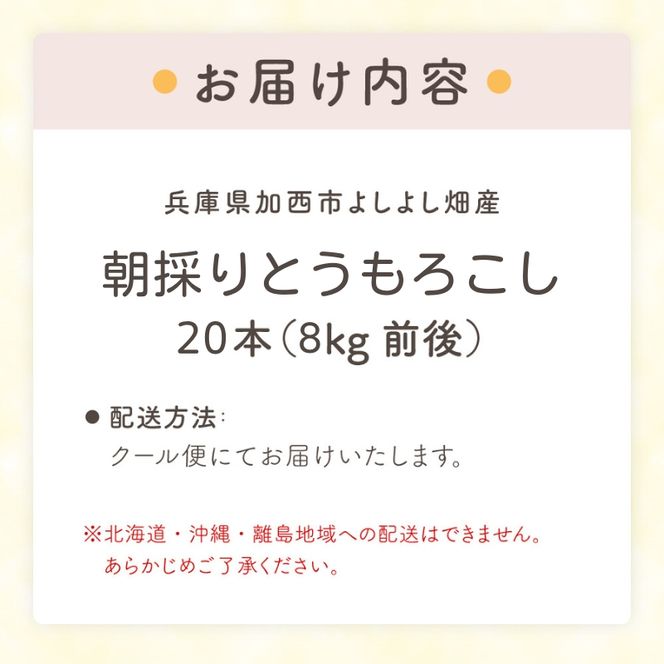 朝どり とうもろこし 20本（8kg前後）よしよし畑 農家直送