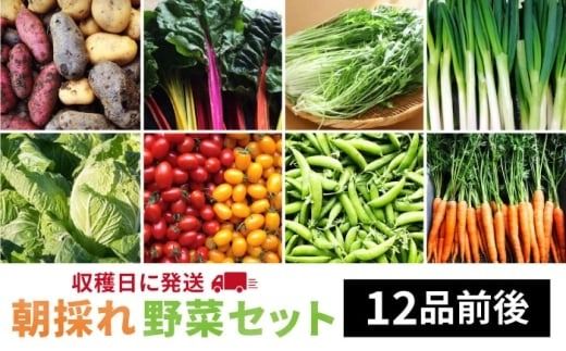 yszy  Y z ̂  Zbg i 12i O j styI[KjbNiK~ct@[z  [AGE023]