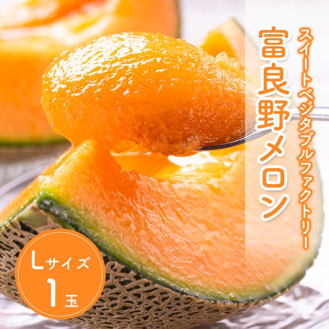 【数量限定！】北海道 富良野 メロン Lサイズ 1.3kg以上×1玉 フルーツ 果物