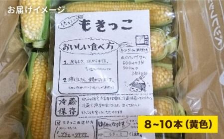 糸島 トウモロコシ 『もきっこ』 黄 （ 8～10本 ） 《糸島》 【内田農業】 [AZH001]