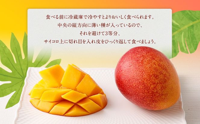 ＜宮崎県 完熟マンゴー2L×2玉 700g＞2026年4月上旬～7月上旬までに順次出荷【c1165_hi_x2】 マンゴー 完熟 果物 くだもの フルーツ 高鍋町