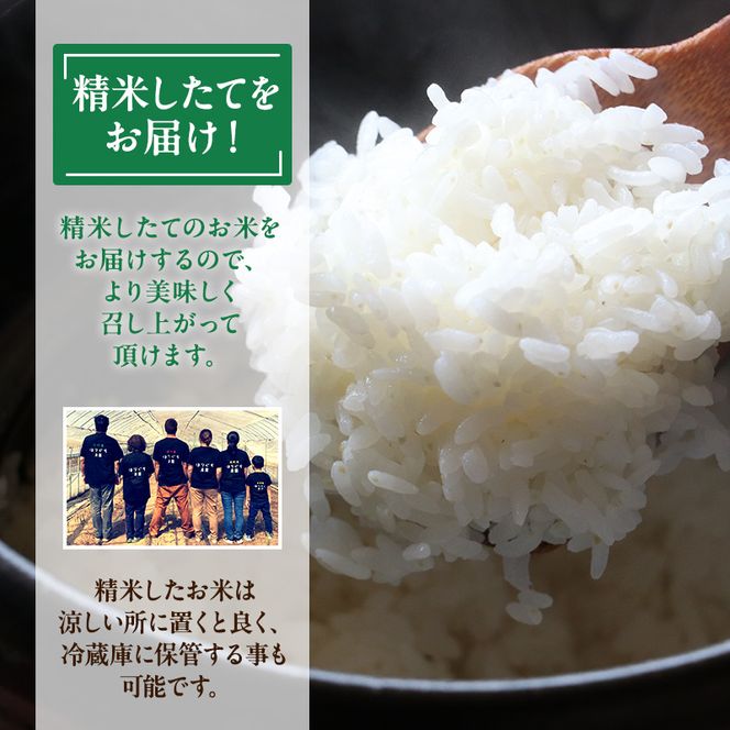【3ヶ月定期便】北海道赤平産 ゆめぴりか 5kg 令和8年産 先行予約 先行受付 精米したて直送 米 白米 精米 定期便 北海道 赤平市