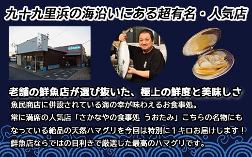 地元で50年続く鮮魚店が目利き！ 九十九里産 天然はまぐり 1kg   ふるさと納税 蛤 はまぐり 九十九里 天然 酒蒸し お吸い物 千葉県 山武市 SMBL001