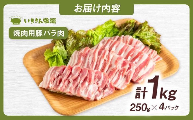 一貴山豚 焼肉用バラ肉 計1kg(250g×4p) 糸島市 / いきさん牧場 豚肉 冷凍[AGB035] 豚肉 豚 ブランド豚 一貴山豚 ポーク バラ 豚バラ 脂身 小分け 250g