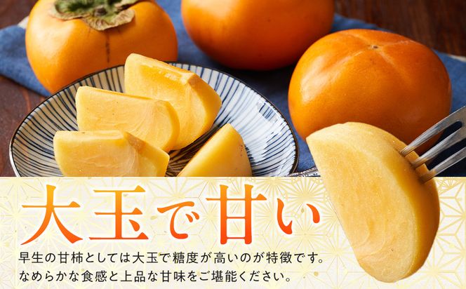 1258.【先行予約】輝太郎柿　赤秀3kg（7～10玉） 313726_BN026