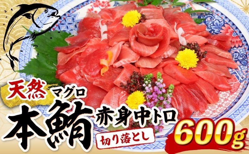 マグロ 中トロ 赤身 切落し[600g (100g×6パック)]天然 本マグロ 切り落とし 本まぐろ まぐろ マグロ 鮪 刺身 魚 惣菜 海鮮丼 魚介類 食べきりサイズ 小分け 冷凍 訳あり 不揃い 送料無料 室戸 mgr tk151!