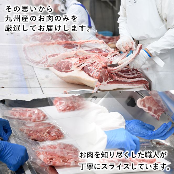 豚肉詰め合わせ(計2kg・1パック250g) 国産 九州産 小分け 個包装 真空パック 定期便 鍋 冷凍配送 ぶた肉 ポーク セット 詰め合わせ ロースしゃぶしゃぶ 肩ロース生姜焼き 豚バラスライス こま切れ【三九】akn006-03