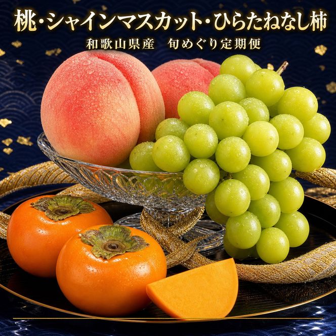 【7・8・10月 全3回】紀州和歌山産旬のフルーツセット（桃・シャイン・ひらたねなし柿）定期便 【魚鶴】【UT66】 303446_XF91135