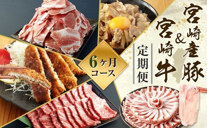 ＜ミヤチク 宮崎県豚・宮崎牛6ヶ月定期便＞お申込みの翌月下旬頃に第一回目発送（12月は中旬頃）【c1313_mc_x2】総量13.2kg 牛肉 和牛 黒毛和牛 4等級以上 ブランド牛 肉 宮崎牛 豚肉 国産 小分け セット 定期便 6回 新生活応援 卒業祝い 就職祝い 入学 卒業 お花見 引越し