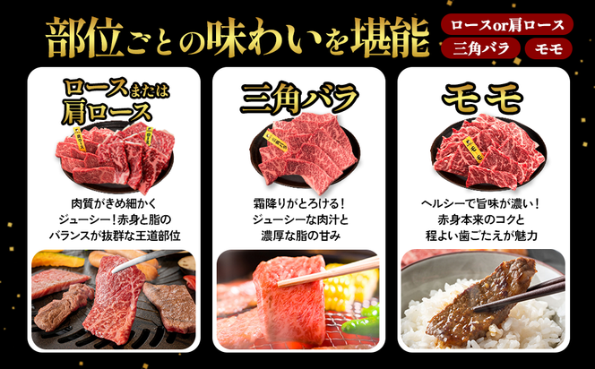 宮崎県産 黒牛 焼肉 赤身 牛肉 焼肉セット ロース 肩ロース 三角バラ モモ 3点盛り 840g(280g × 3パック)焼肉用 肉 お肉 牛 国産牛 食べ比べ セット 小分け 真空パック  冷凍 贈答 贈答用 ギフト BBQ アウトドア キャンプ  国産 国産牛 九州 宮崎県 えびの市 