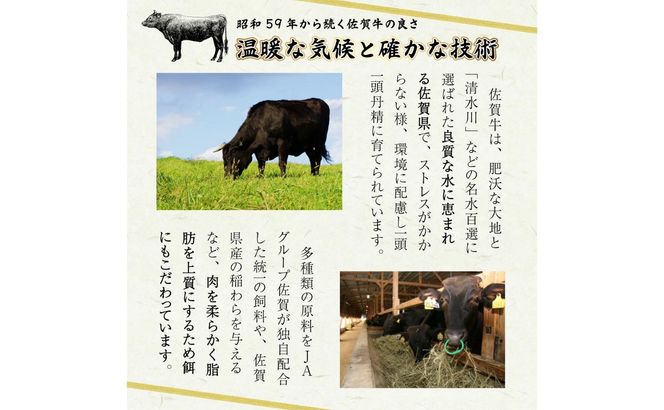 佐賀牛 サーロインステーキ 200g～600g B-954