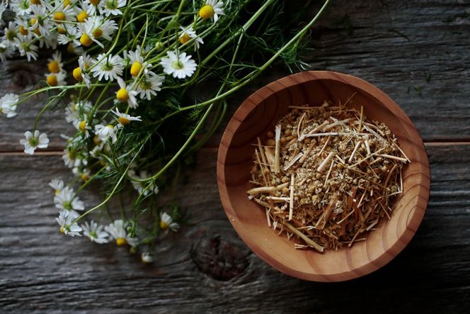 華密恋 薬用入浴剤 1500mL ( 特大 詰替え用 ） [カミツレ研究所 長野県 池田町 48110805] カミツレン カミツレ 入浴剤